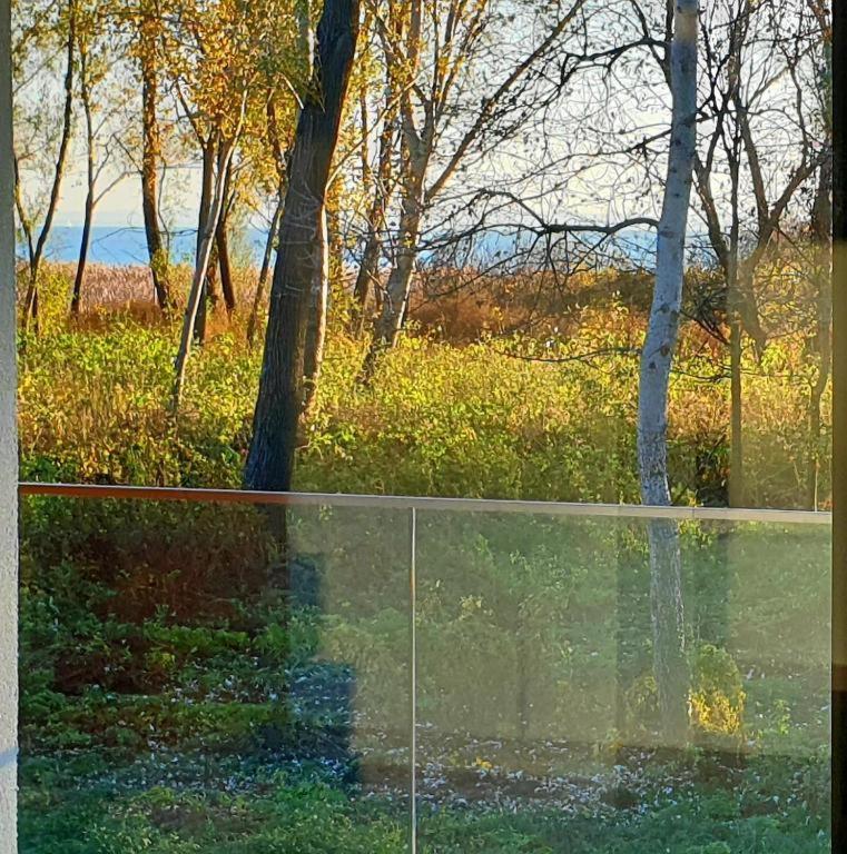 Blue4 Apartment Balatonfůzfő Zewnętrze zdjęcie